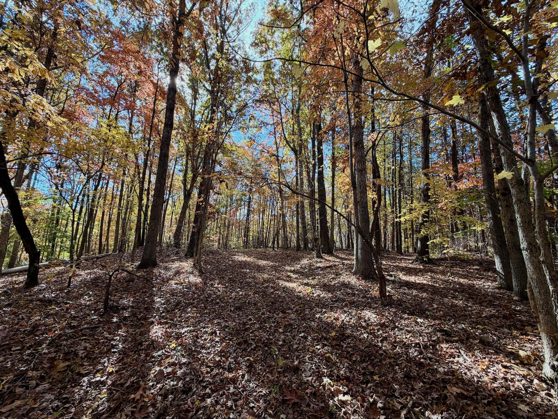 0 Slatesville RD - Photo 9