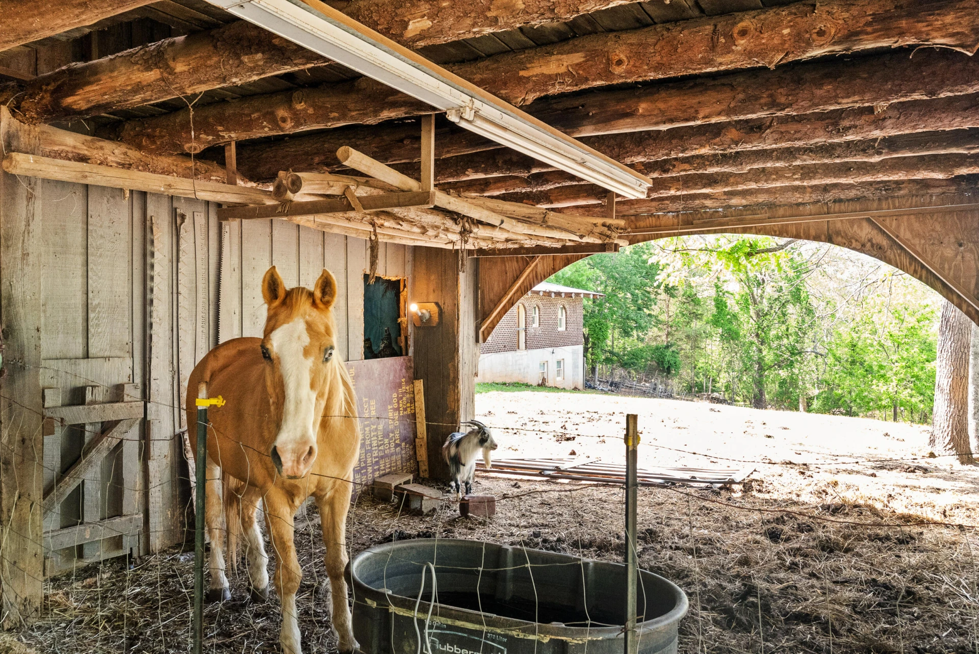 4067 Dickerson Mill RD - Photo 39