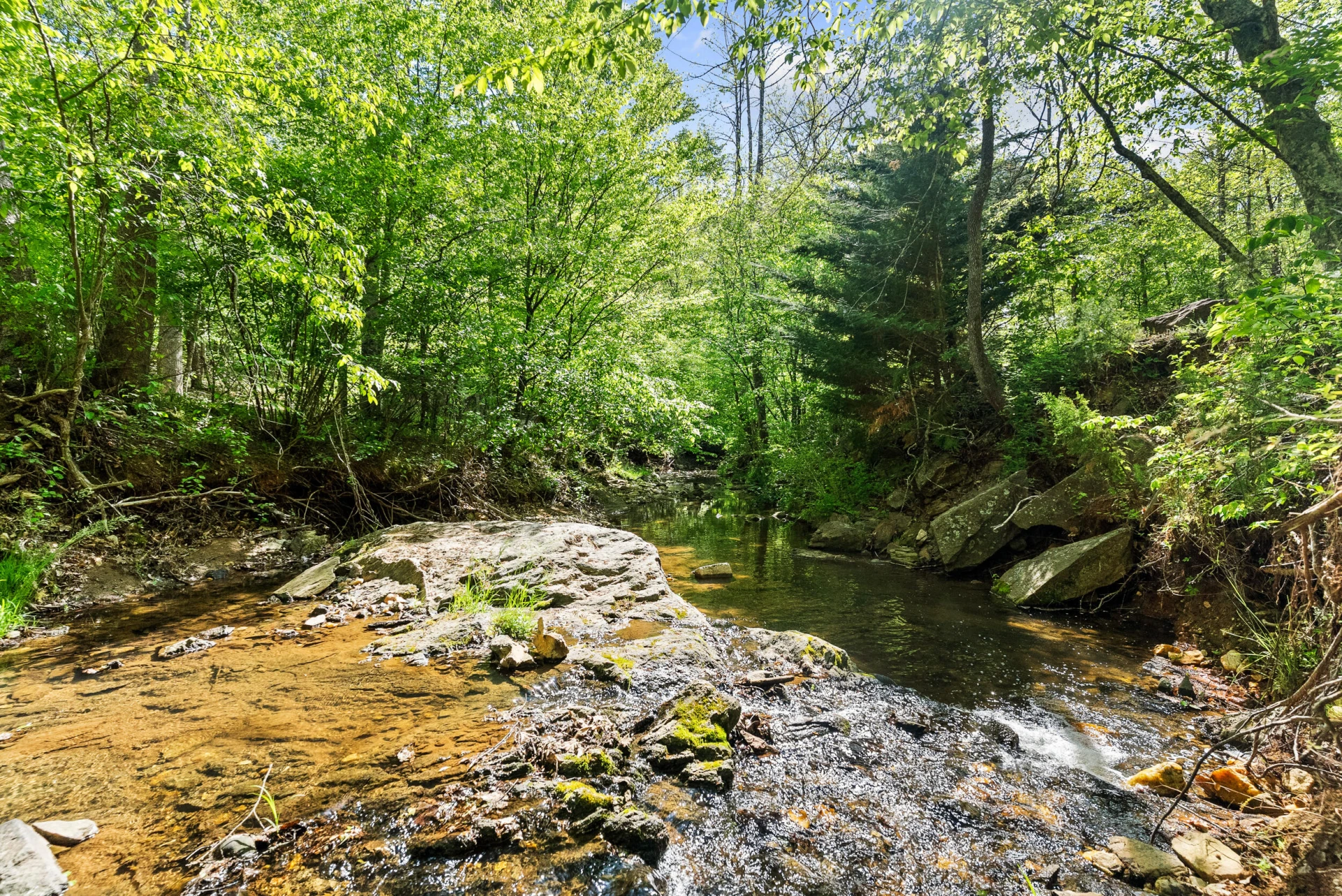 4067 Dickerson Mill RD - Photo 48