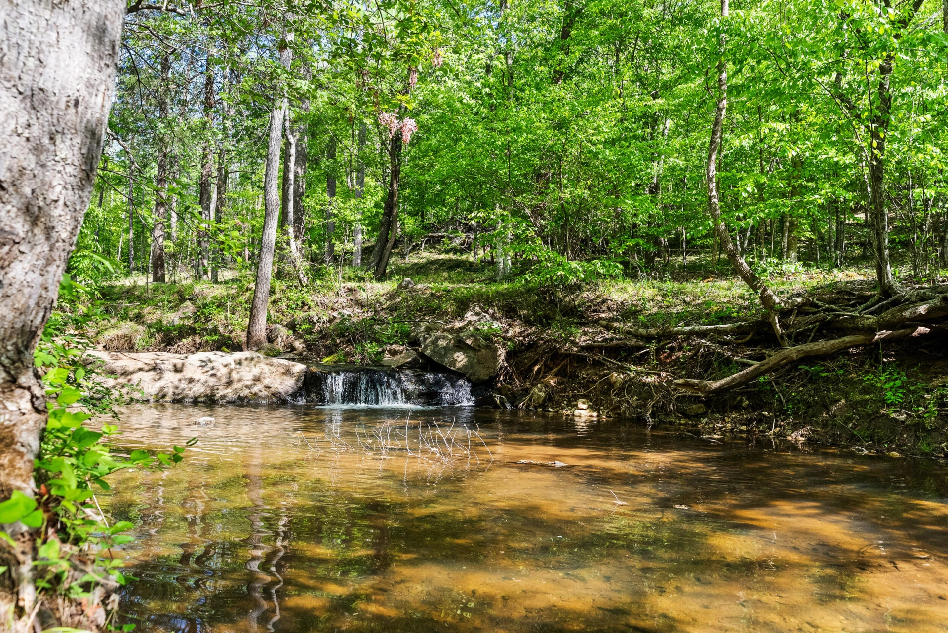 4067 Dickerson Mill RD - Photo 49