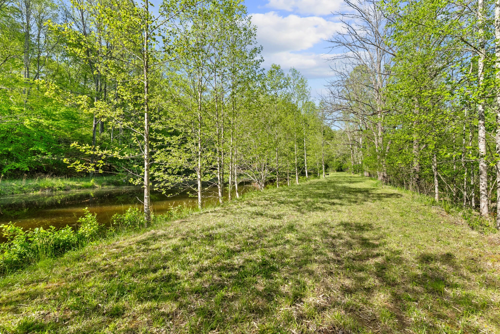 4067 Dickerson Mill RD - Photo 74