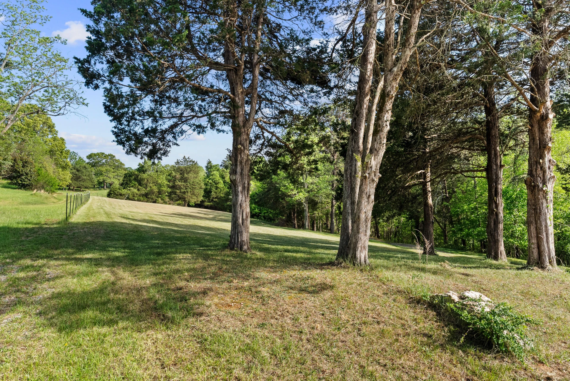 4067 Dickerson Mill RD - Photo 77