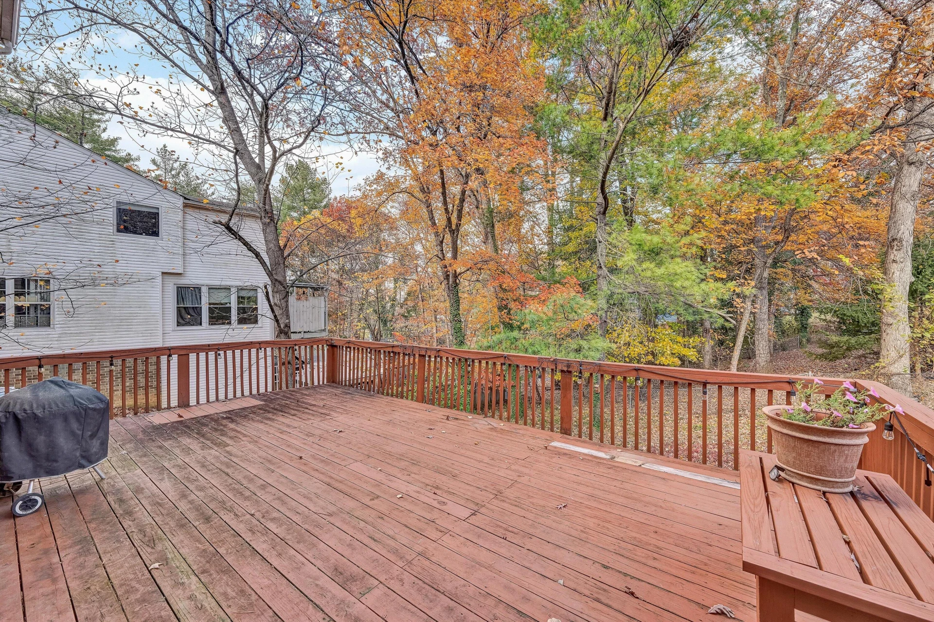 4119 Blue Jay CIR - Photo 35