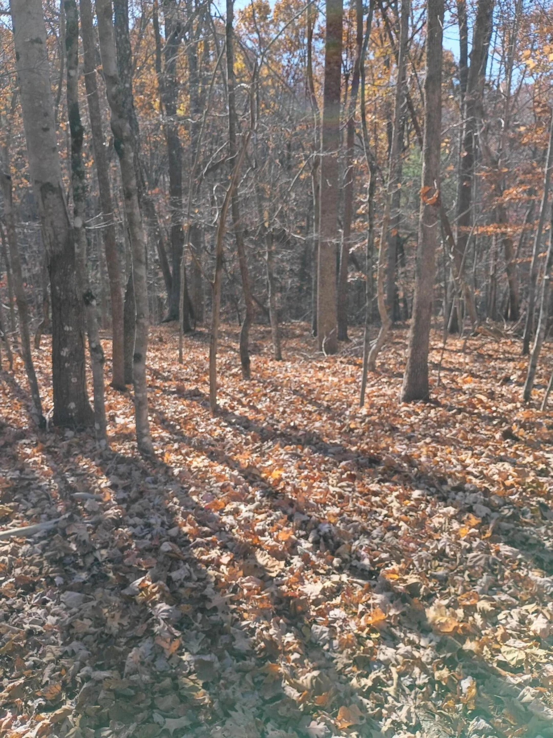 55 Old Barn RD - Photo 2