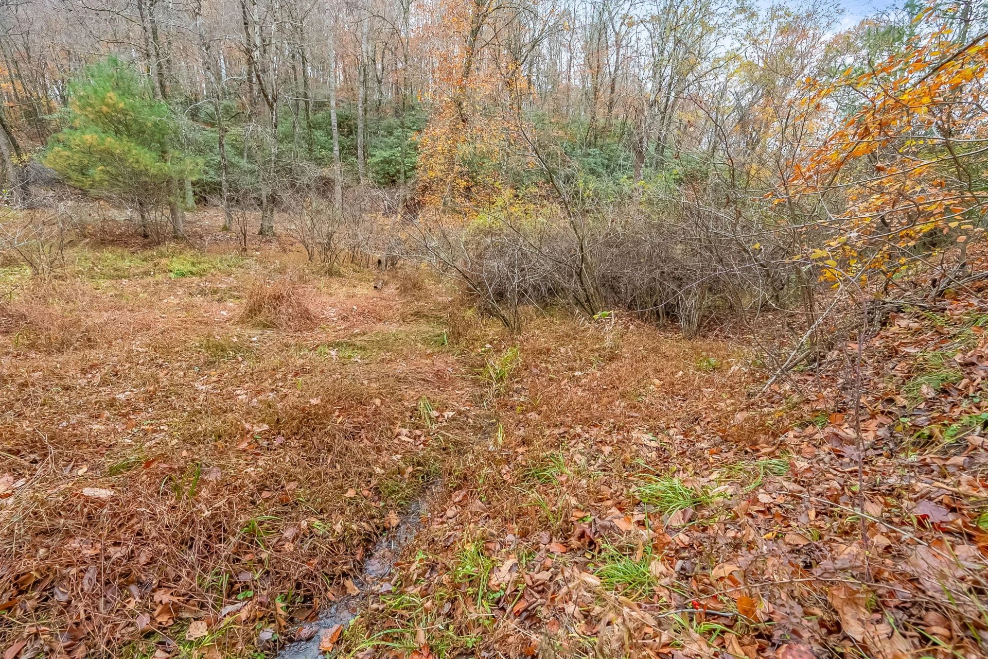 528 Falling Branch RD NW - Photo 65