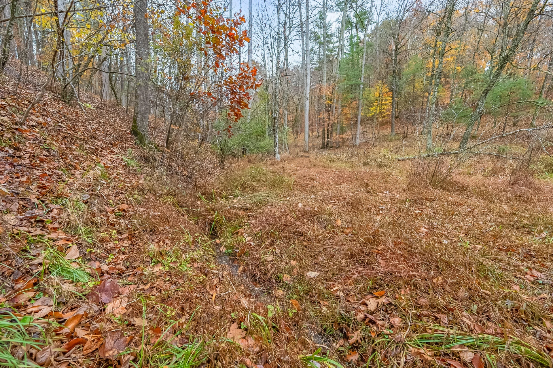 528 Falling Branch RD NW - Photo 66