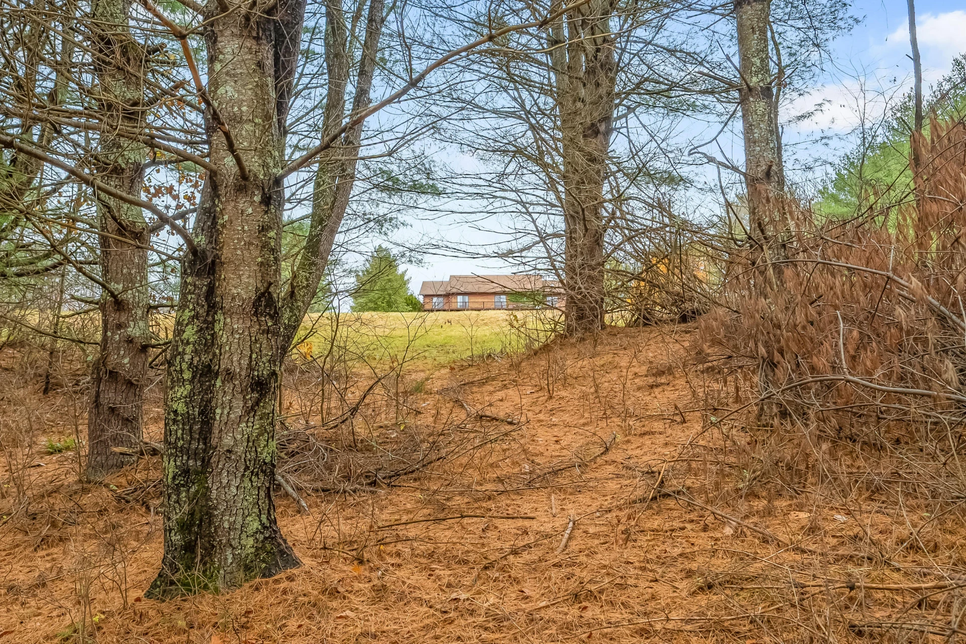 528 Falling Branch RD NW - Photo 70
