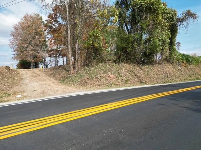 1353 OLD FRANKLIN TPKE - Photo 3