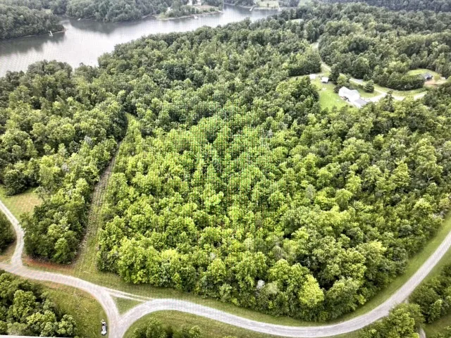 Lot 5 Reservoir View DR, Pittsville, VA, 24139