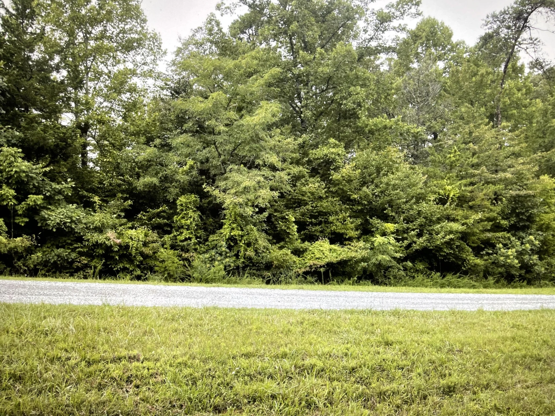 Lot 5 Reservoir View DR - Photo 10
