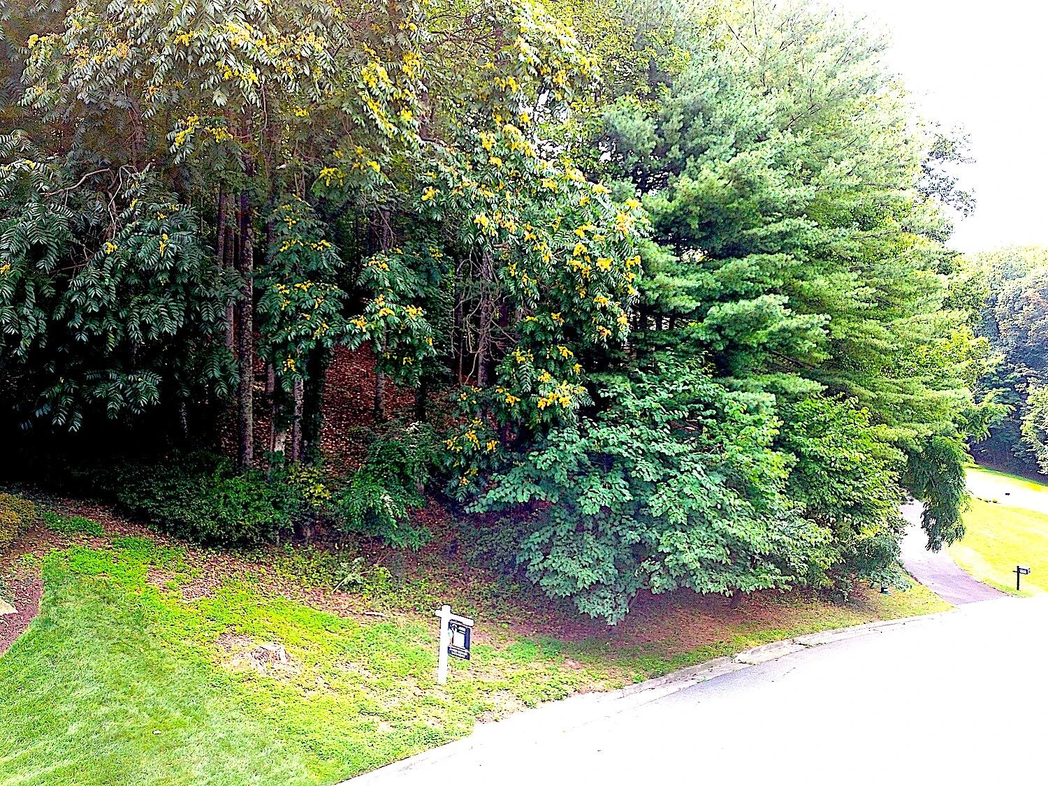 6208 Stratford WAY - Photo 2