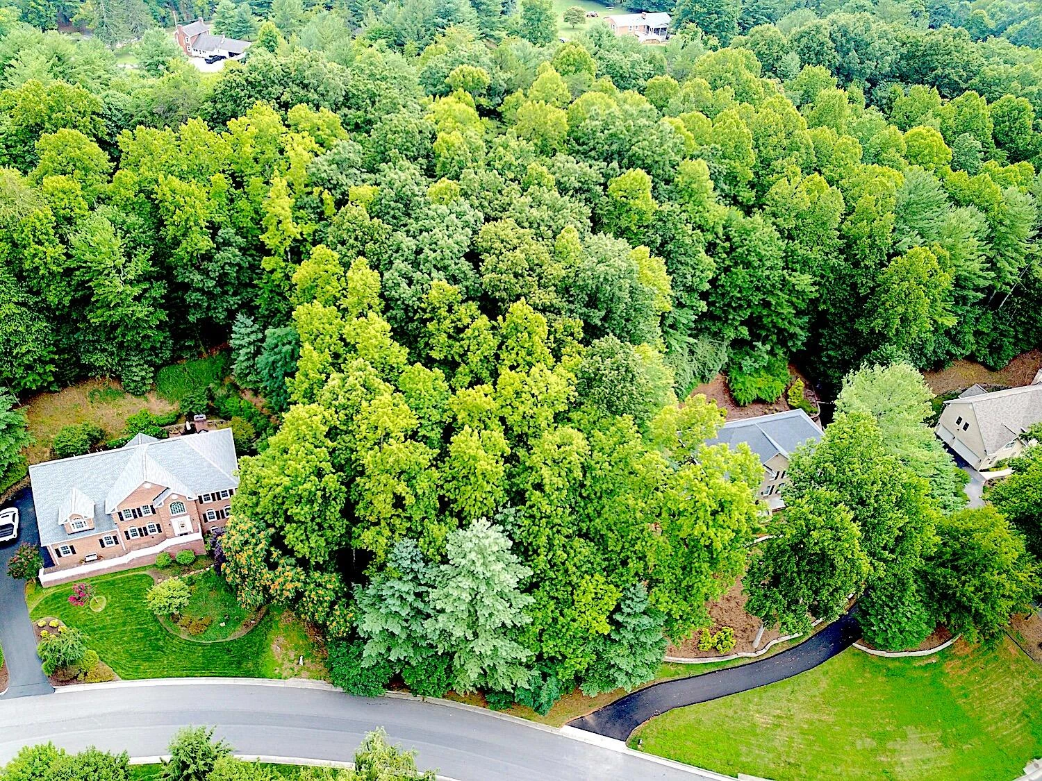 6208 Stratford WAY - Photo 4