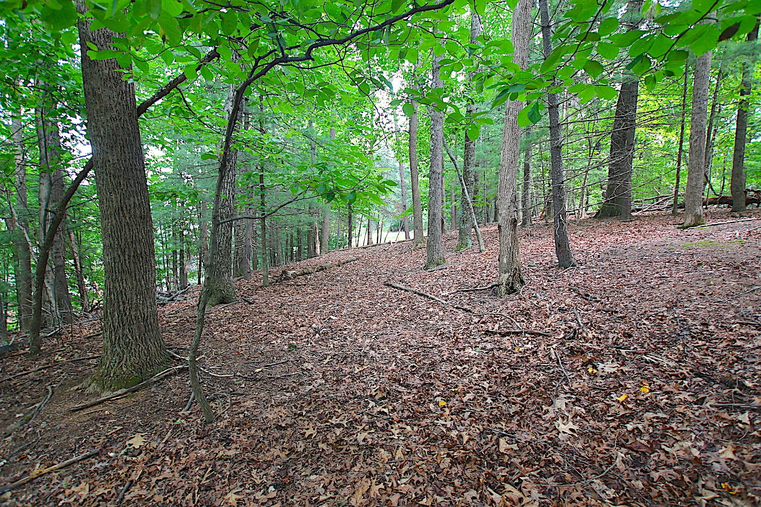 6208 Stratford WAY - Photo 5