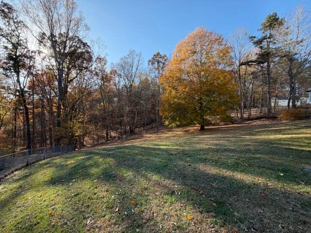 525 Tanglewood DR - Photo 29