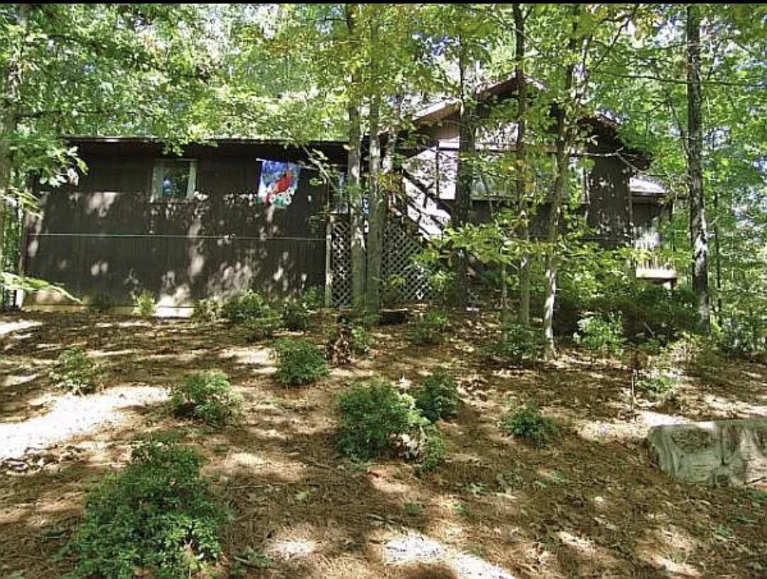 1046 Mountain Pass RD - Photo 2