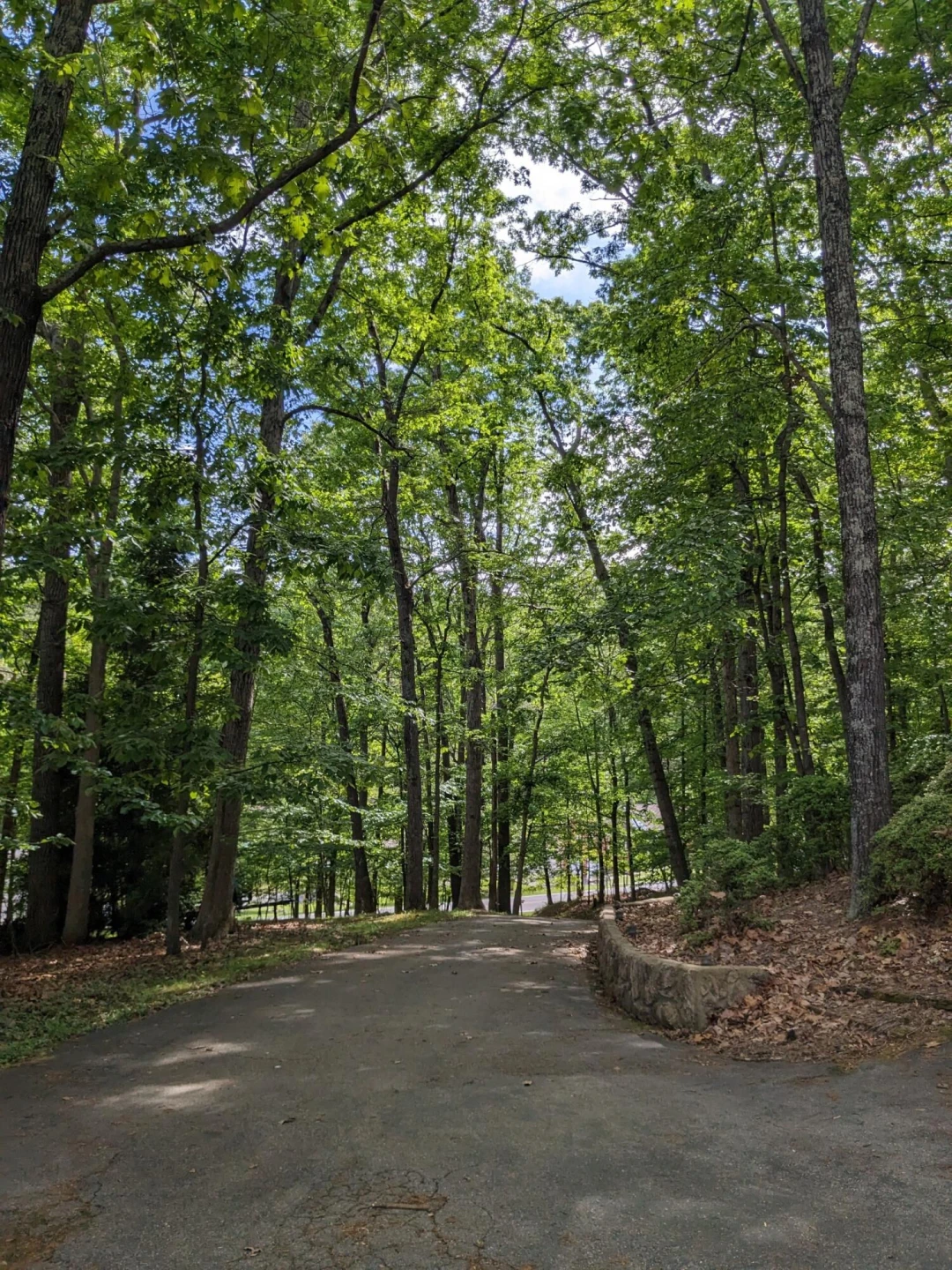 1046 Mountain Pass RD - Photo 22