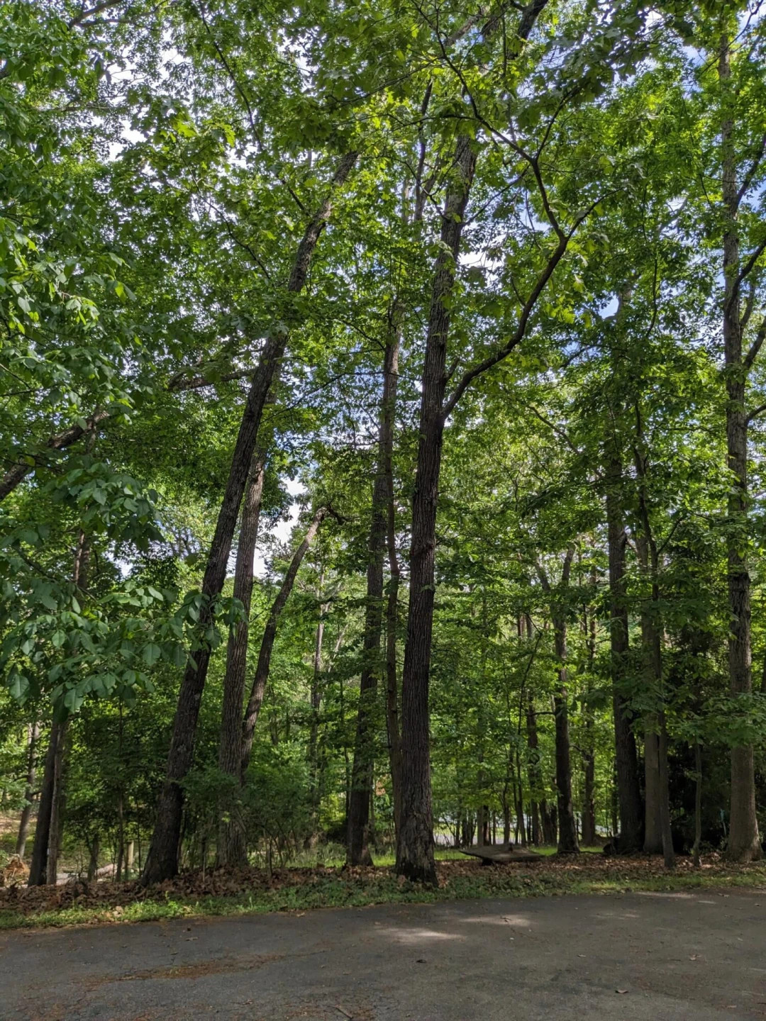 1046 Mountain Pass RD - Photo 24