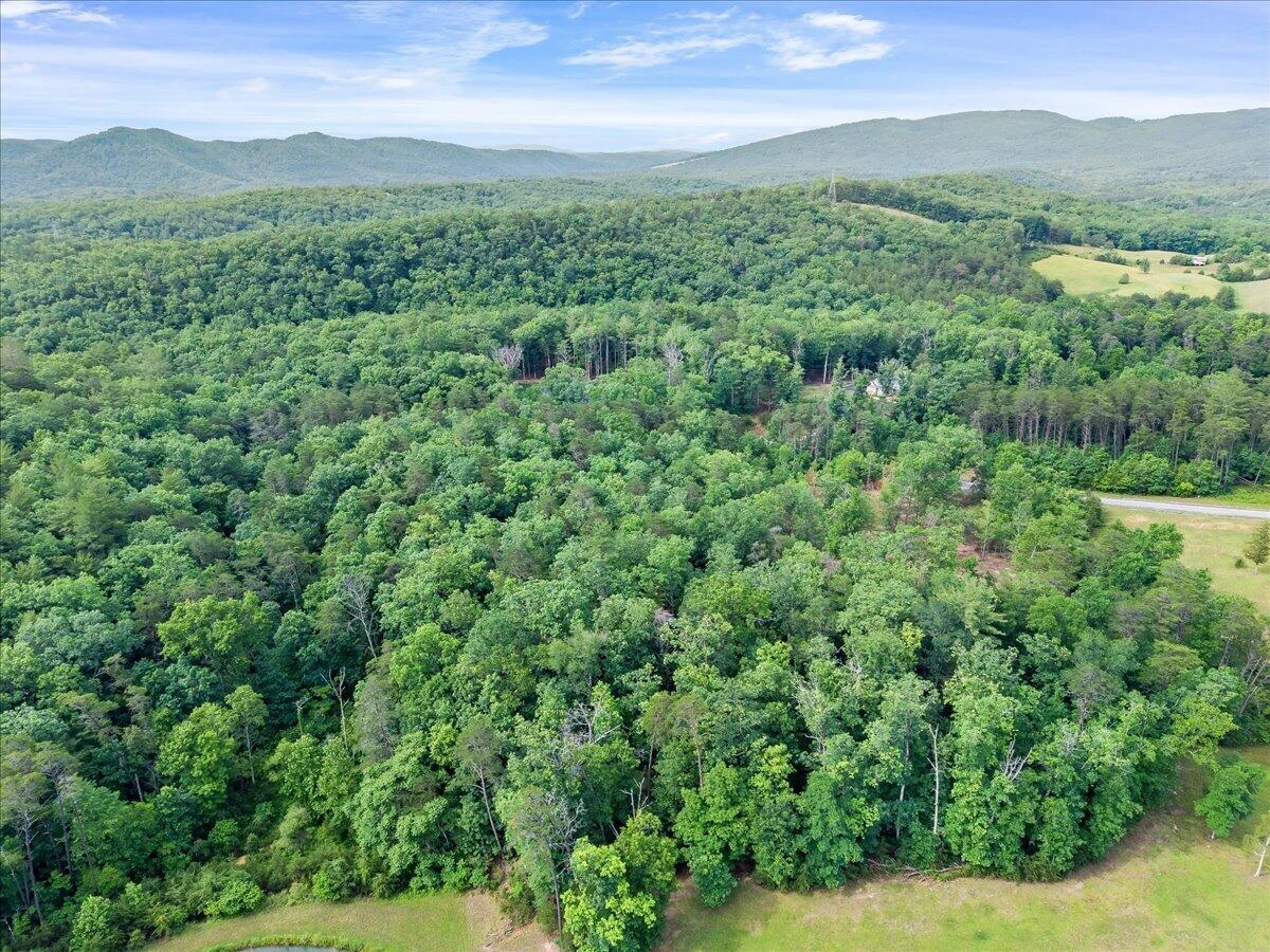 3741 Knob Creek TRL - Photo 11
