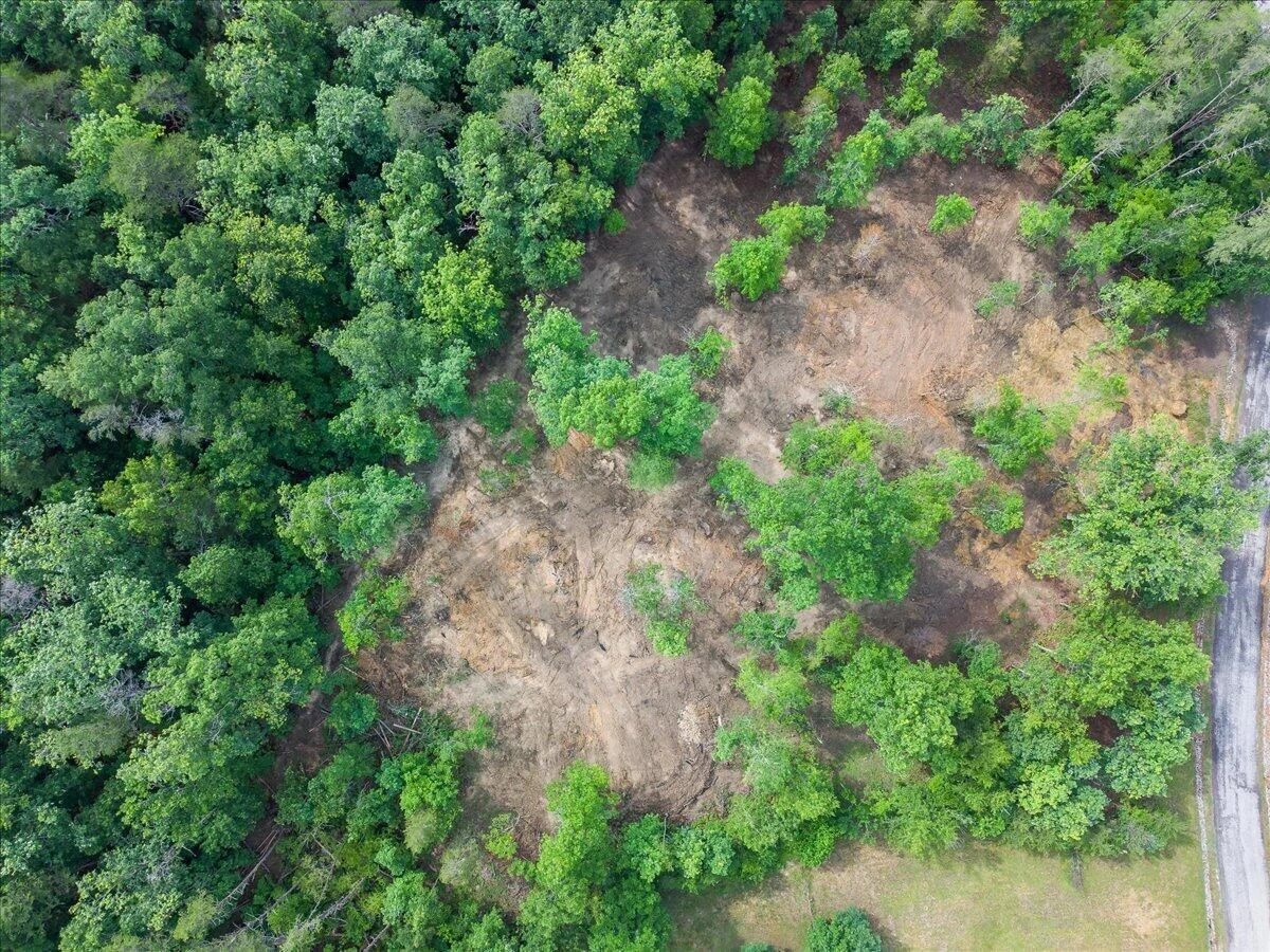 3741 Knob Creek TRL - Photo 12