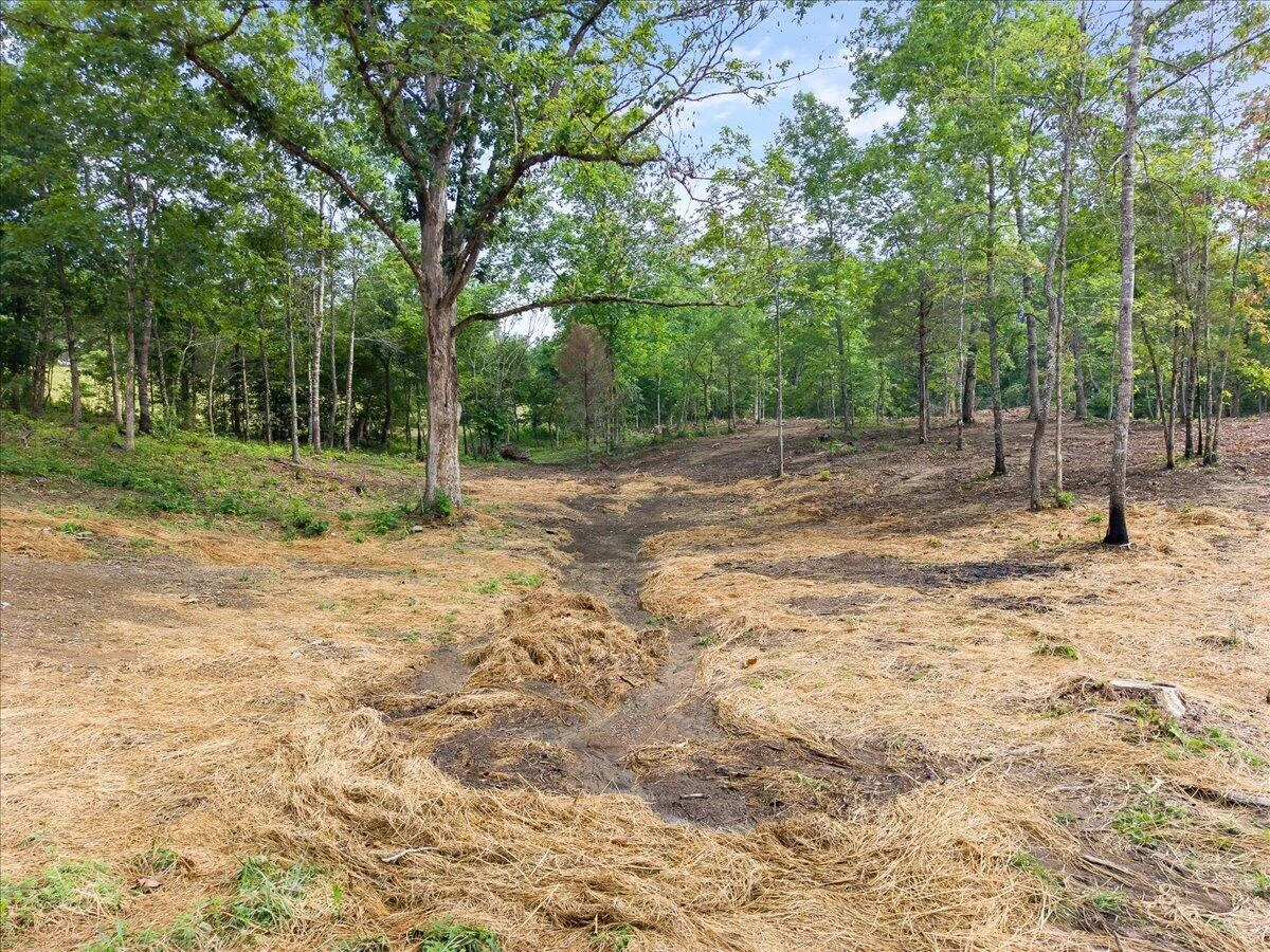 3741 Knob Creek TRL - Photo 17