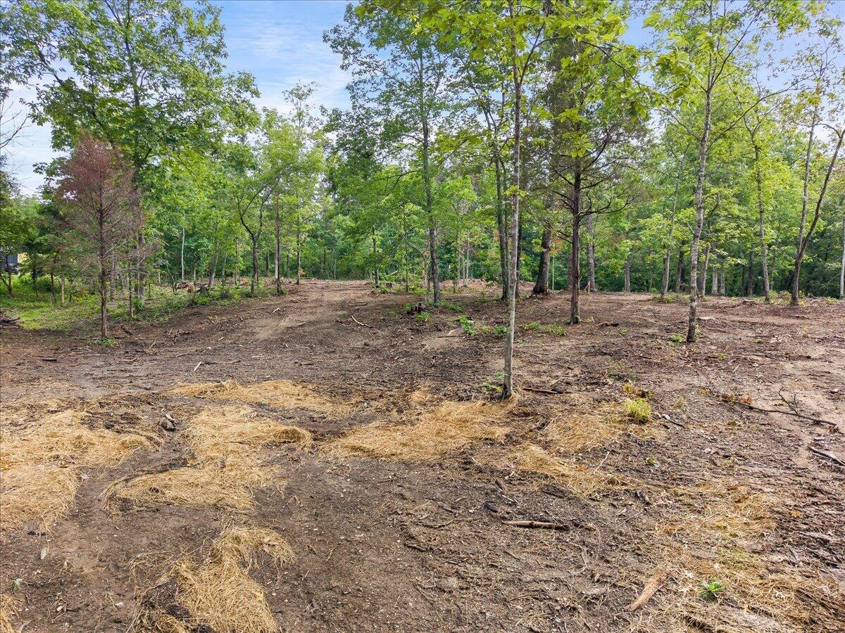 3741 Knob Creek TRL - Photo 18
