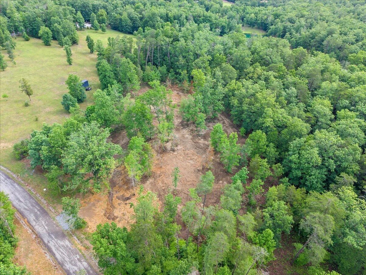 3741 Knob Creek TRL - Photo 2