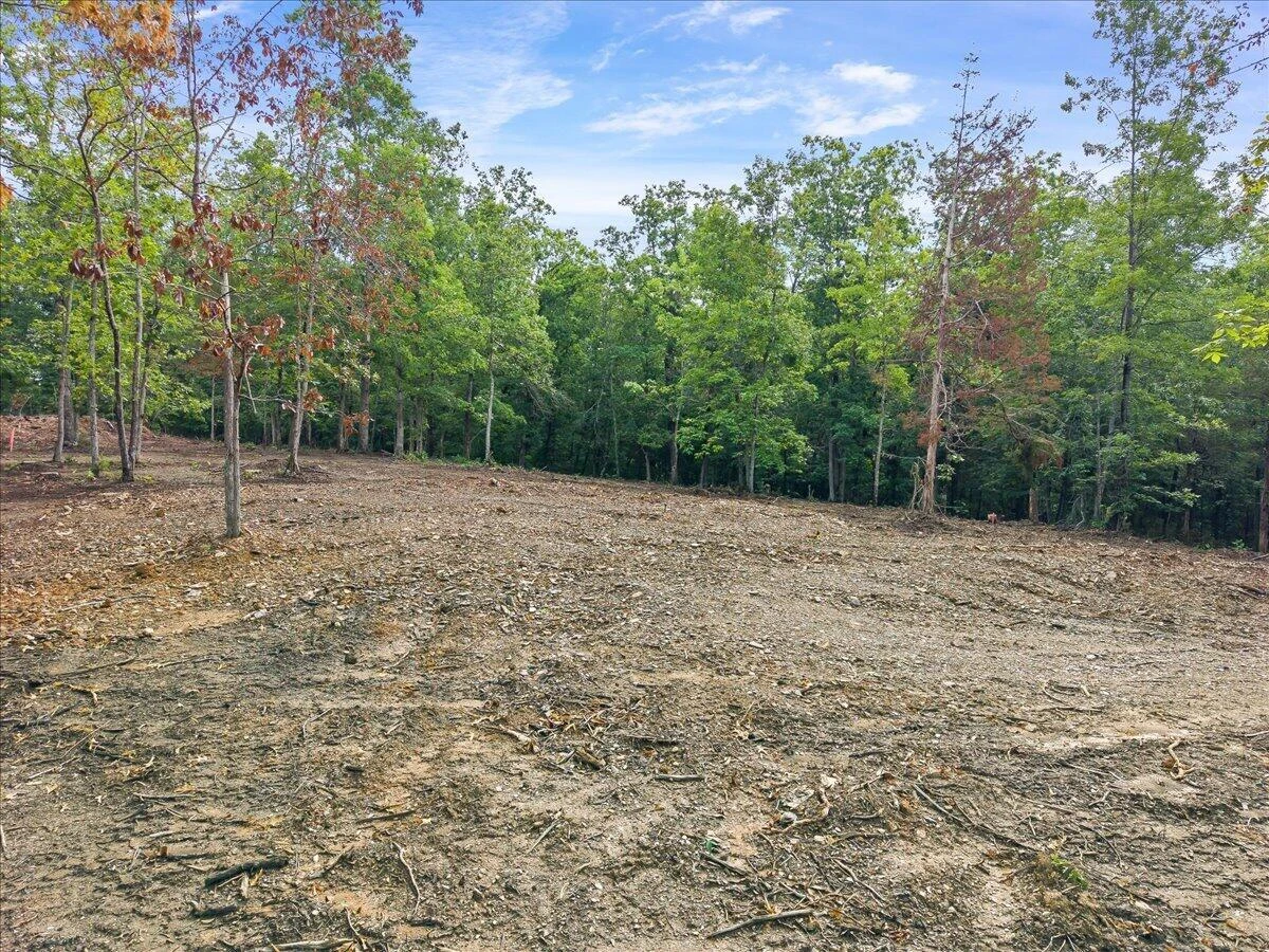 3741 Knob Creek TRL - Photo 3