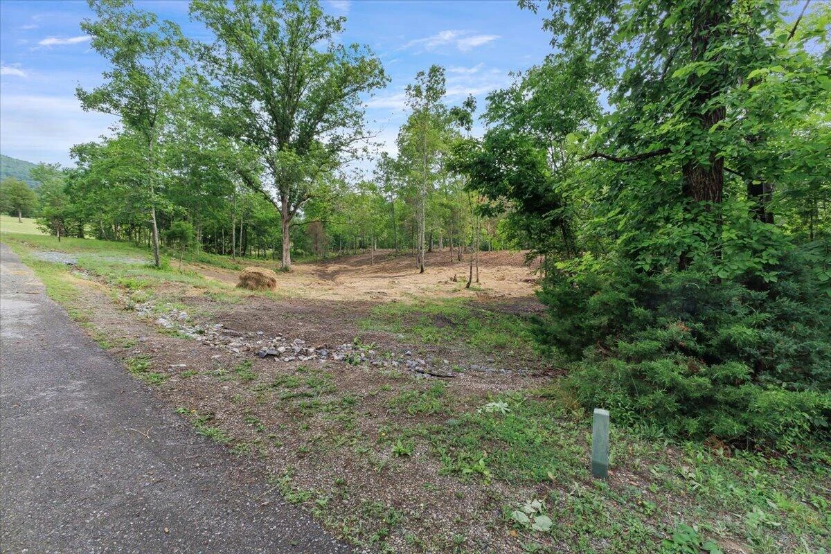 3741 Knob Creek TRL - Photo 4