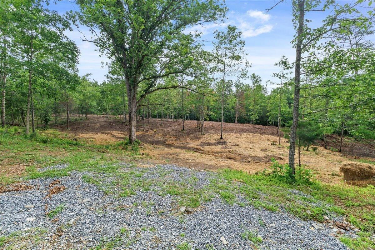3741 Knob Creek TRL - Photo 5