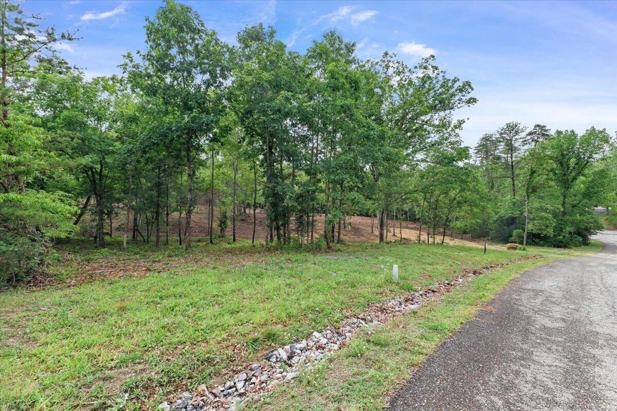 3741 Knob Creek TRL - Photo 6