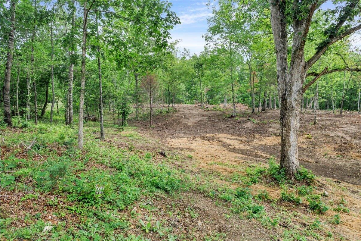 3741 Knob Creek TRL - Photo 7