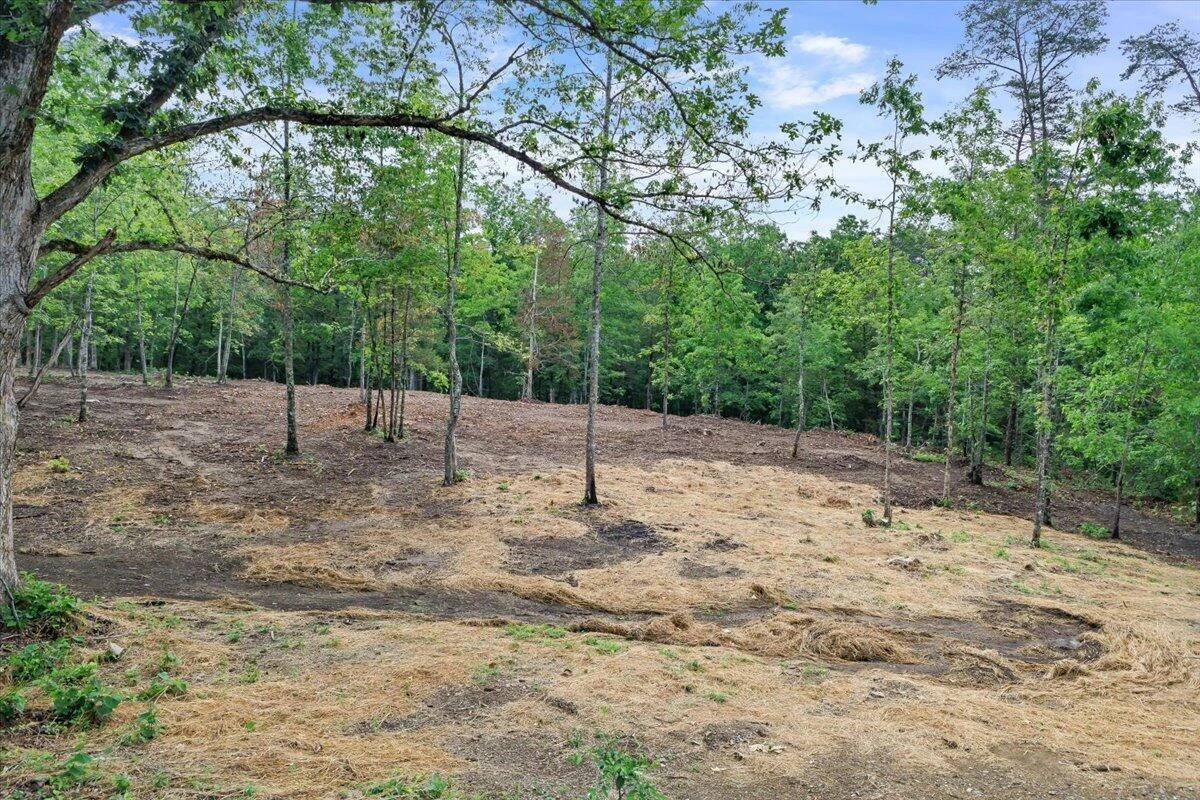 3741 Knob Creek TRL - Photo 8