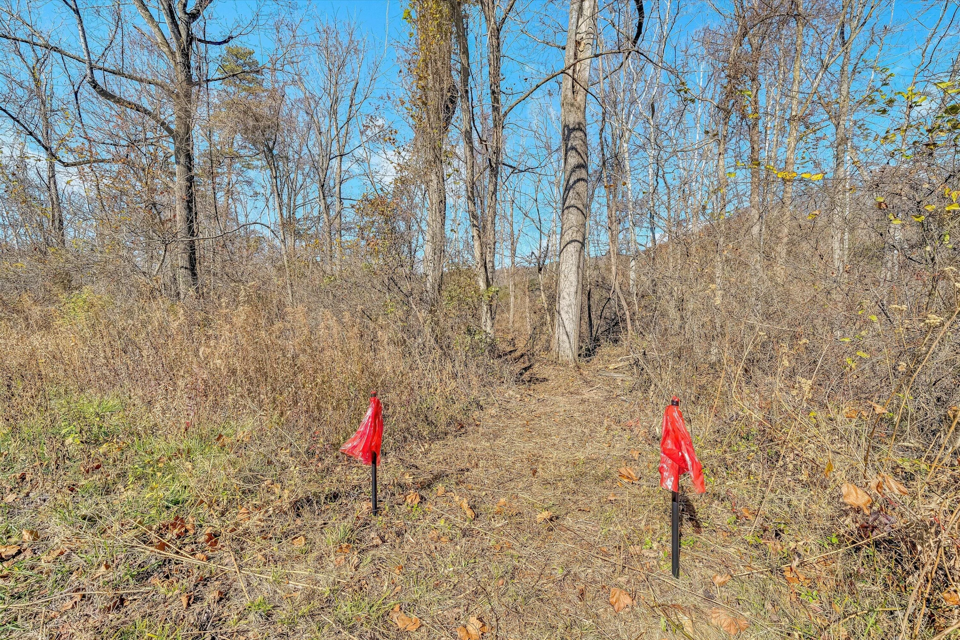 3469 Bradshaw RD - Photo 33
