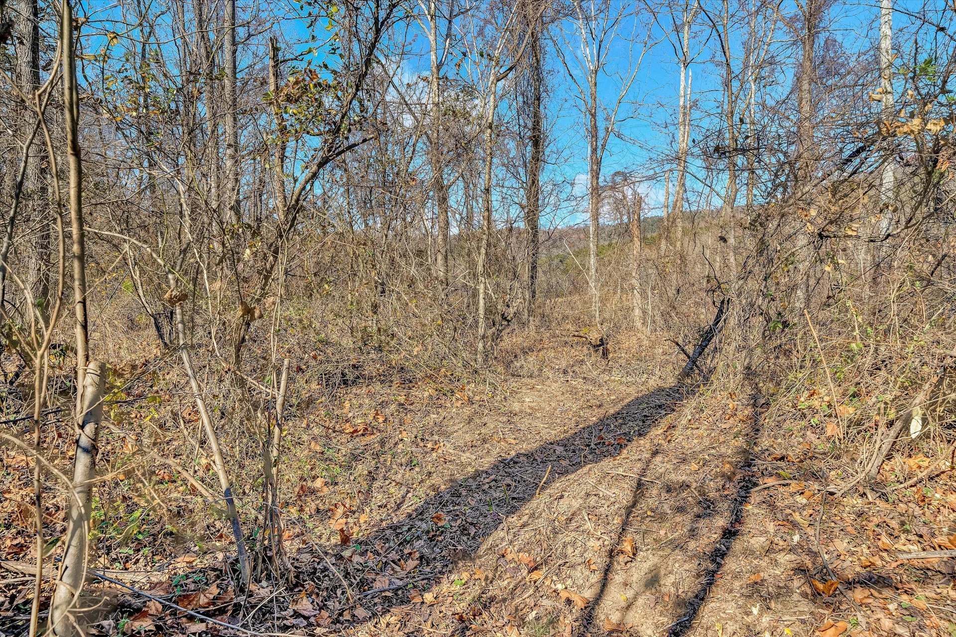 3469 Bradshaw RD - Photo 34