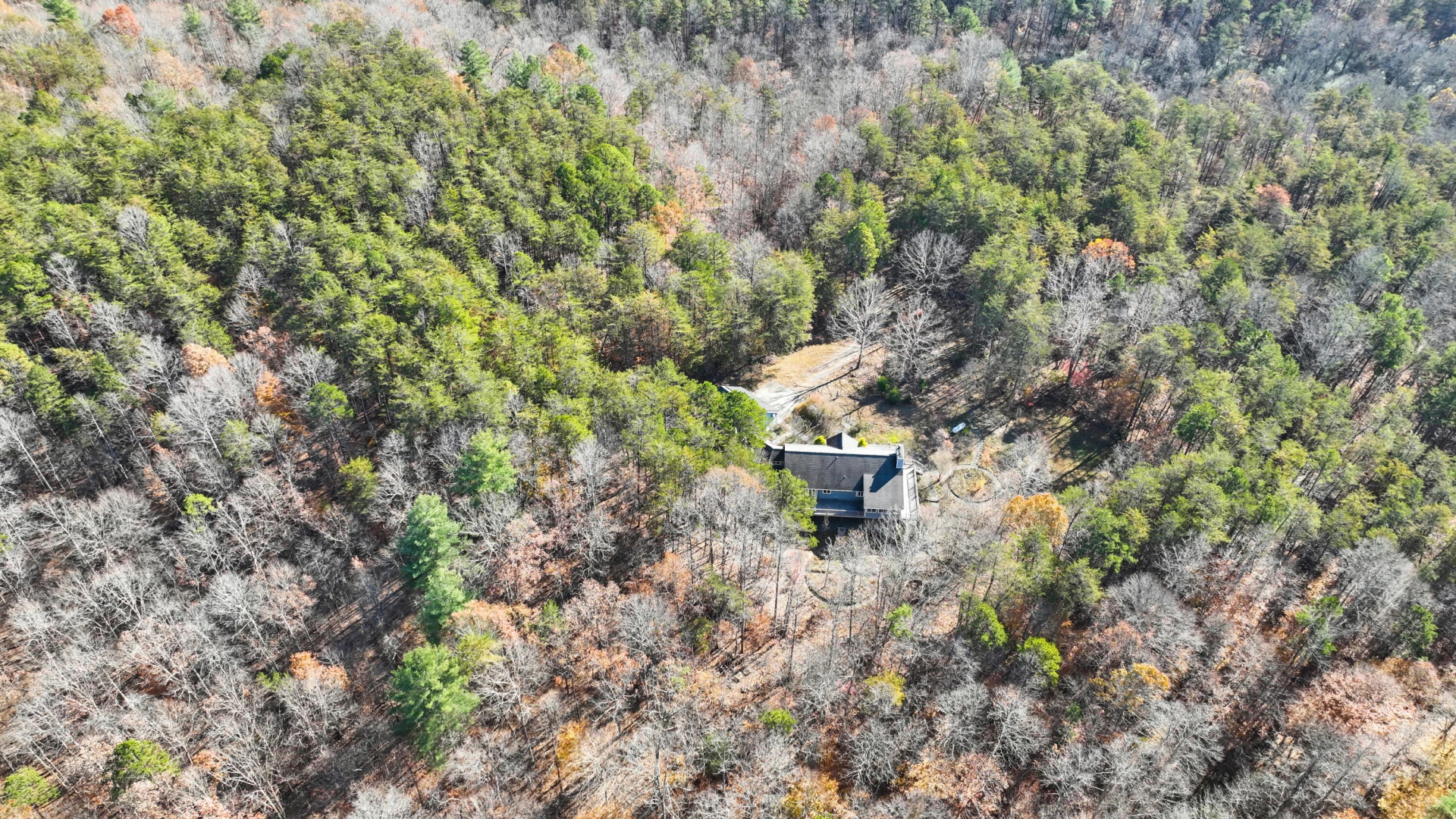 229 Pine Valley DR - Photo 5