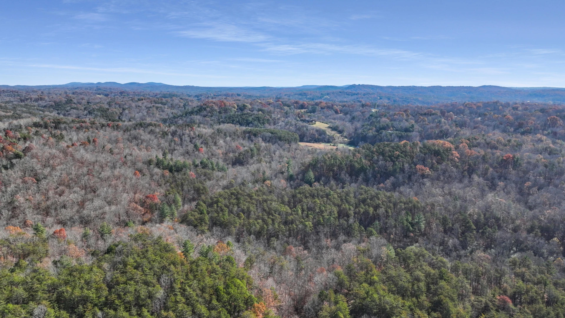 229 Pine Valley DR - Photo 6
