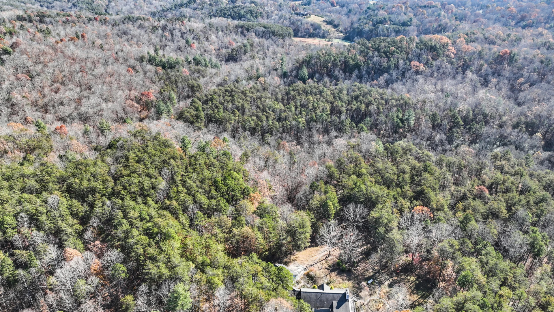 229 Pine Valley DR - Photo 73