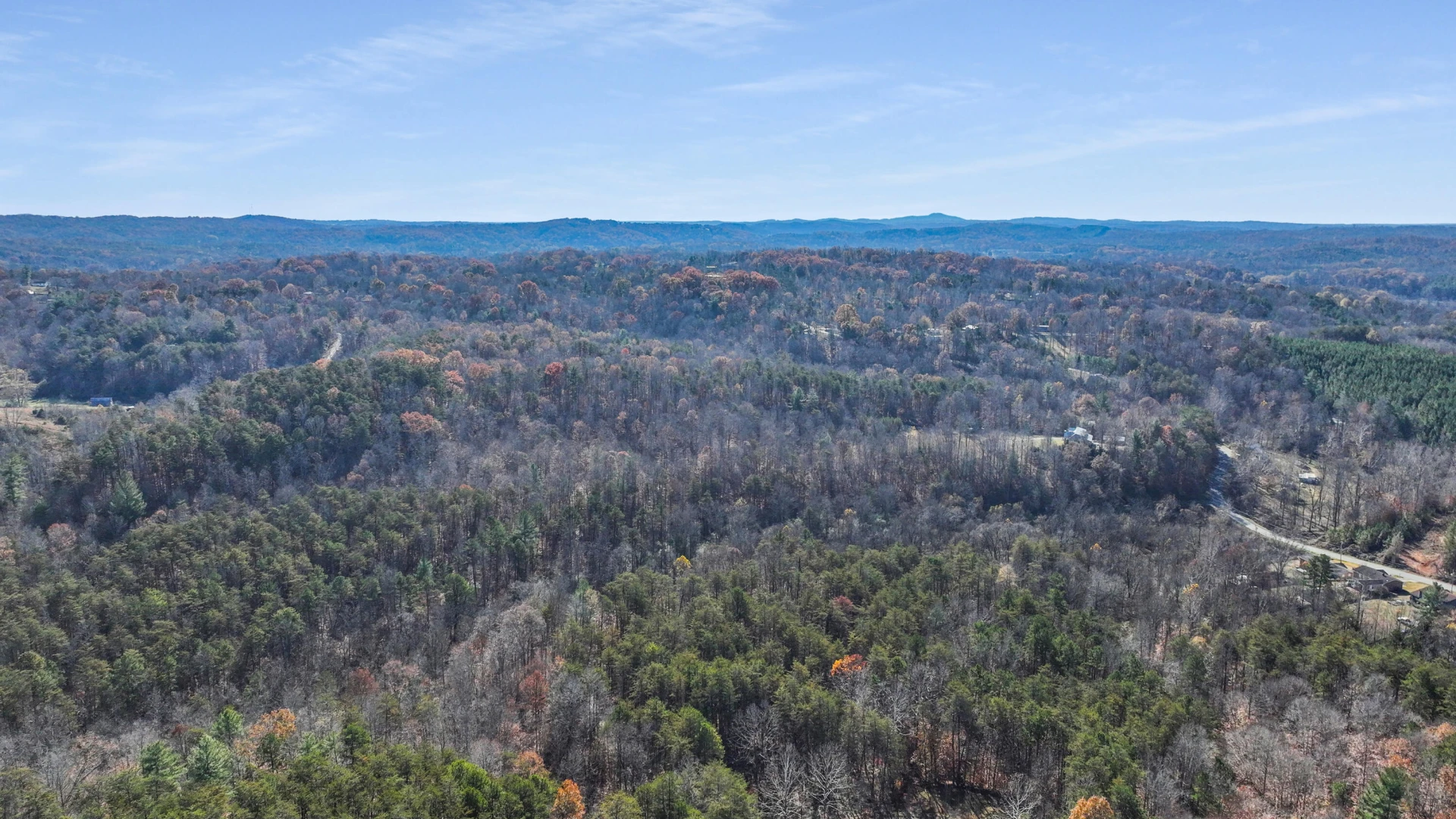 229 Pine Valley DR - Photo 74
