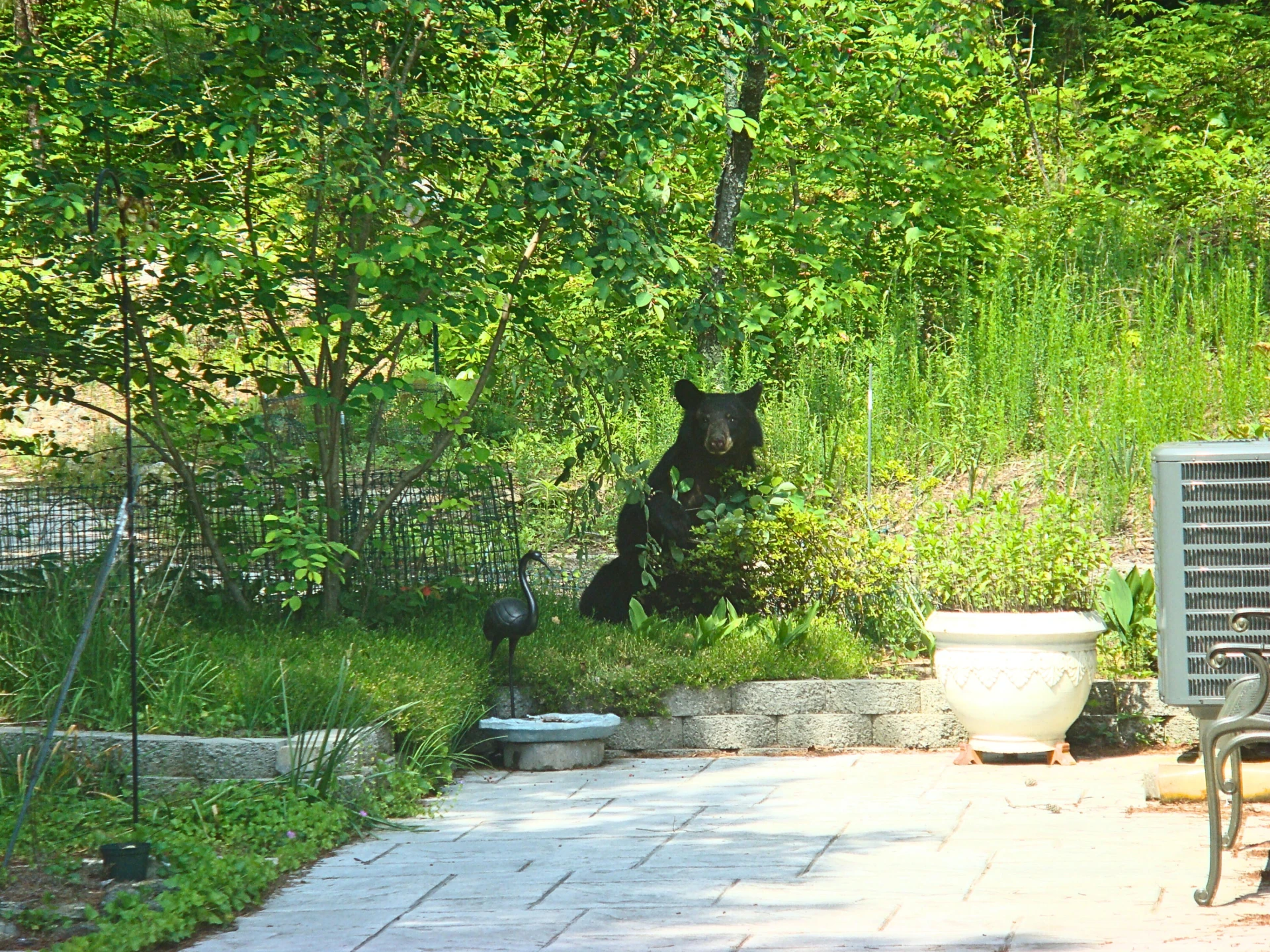 229 Pine Valley DR - Photo 80