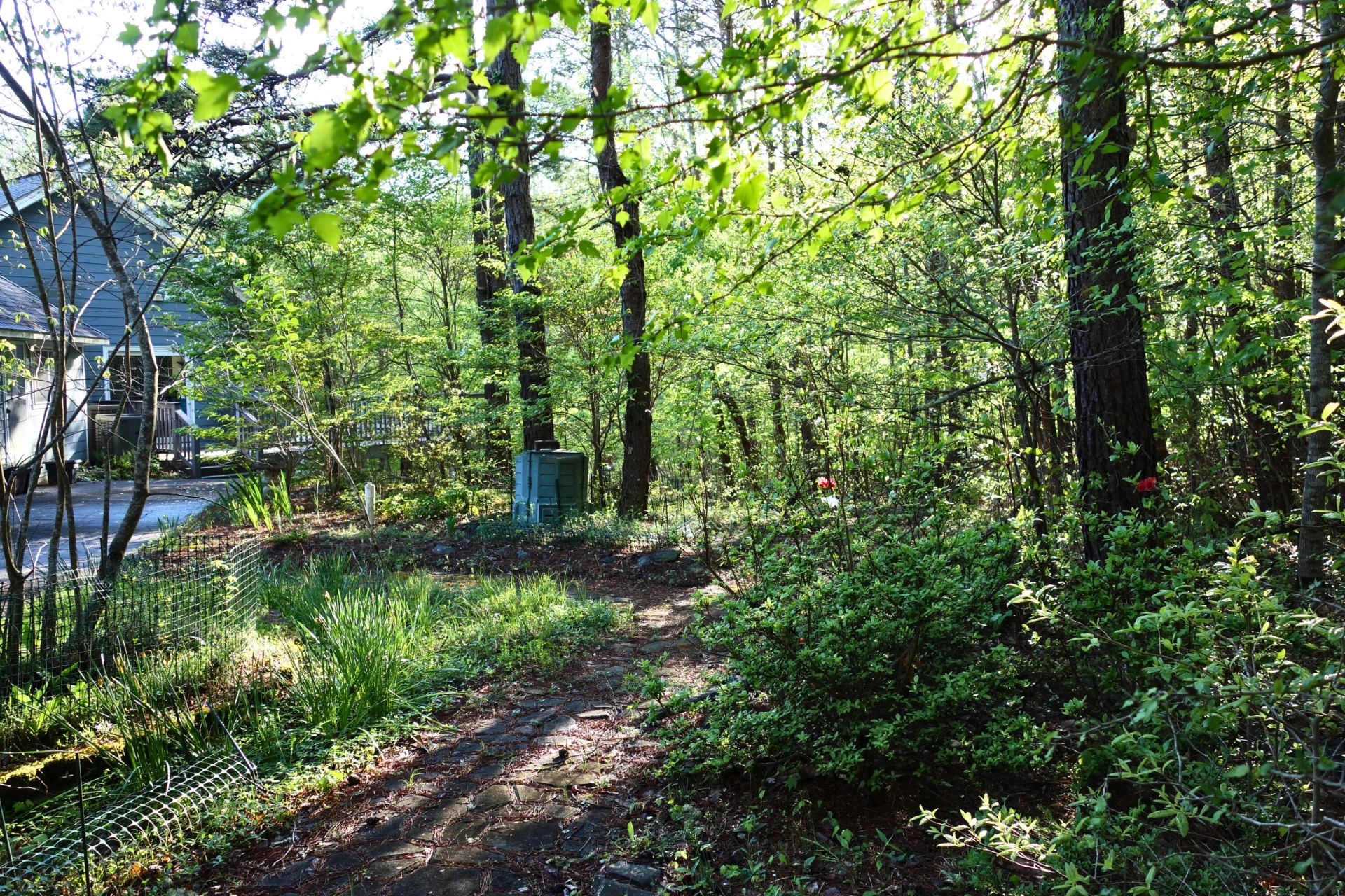 229 Pine Valley DR - Photo 87