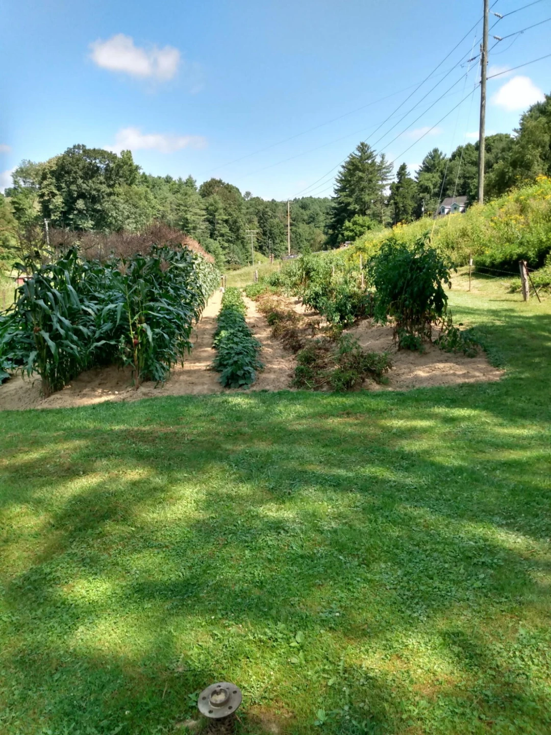 4668 Webbs Mill RD - Photo 32