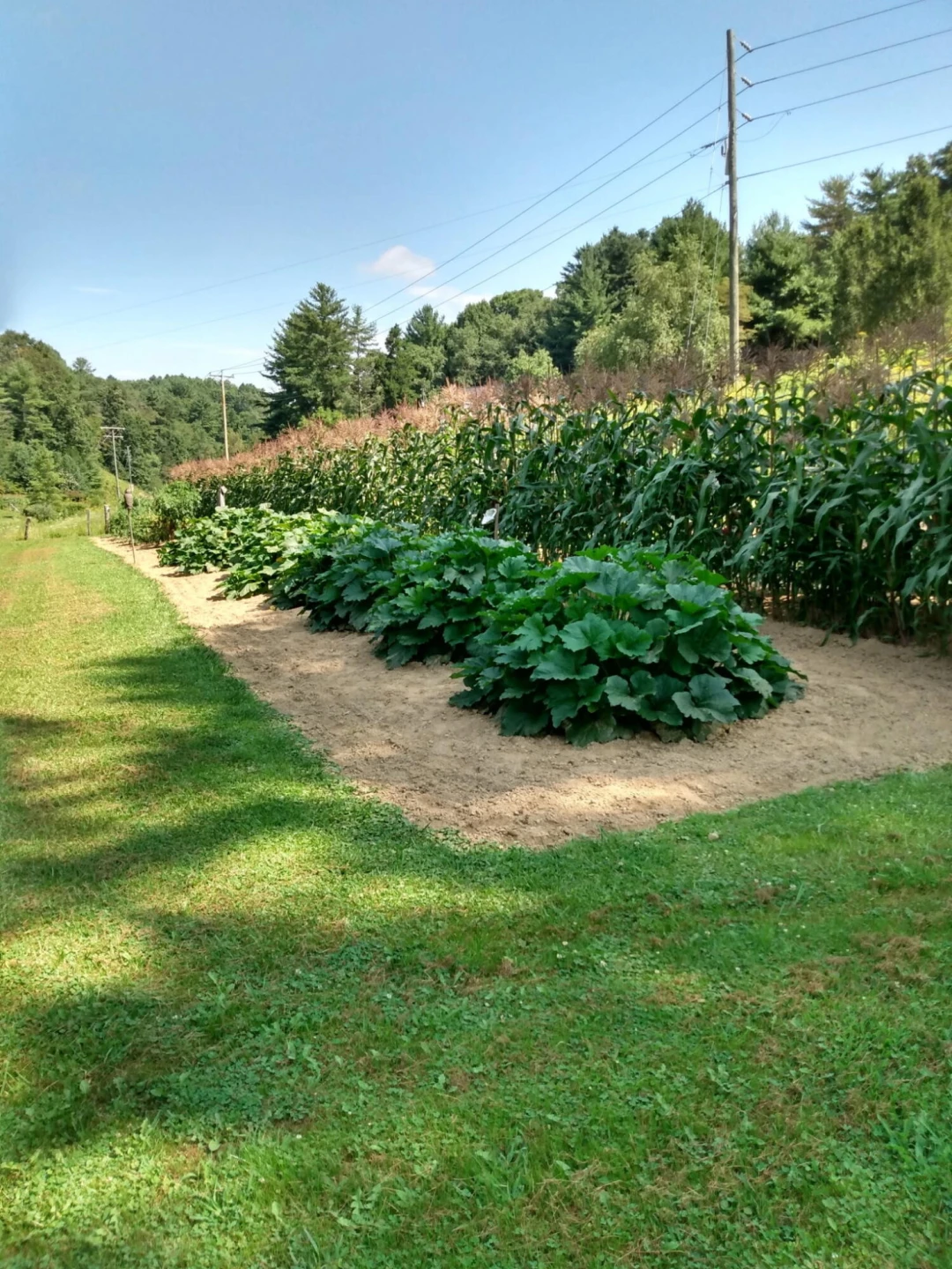 4668 Webbs Mill RD - Photo 33