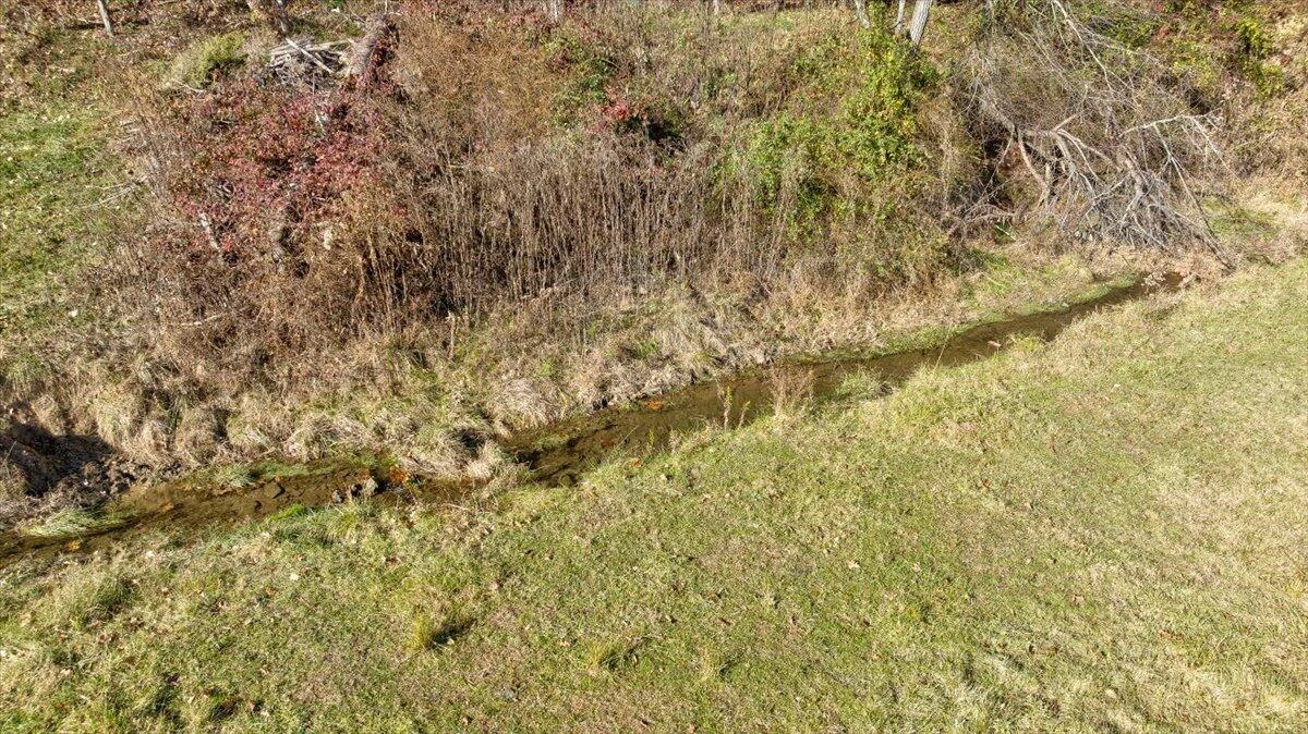 4668 Webbs Mill RD - Photo 42
