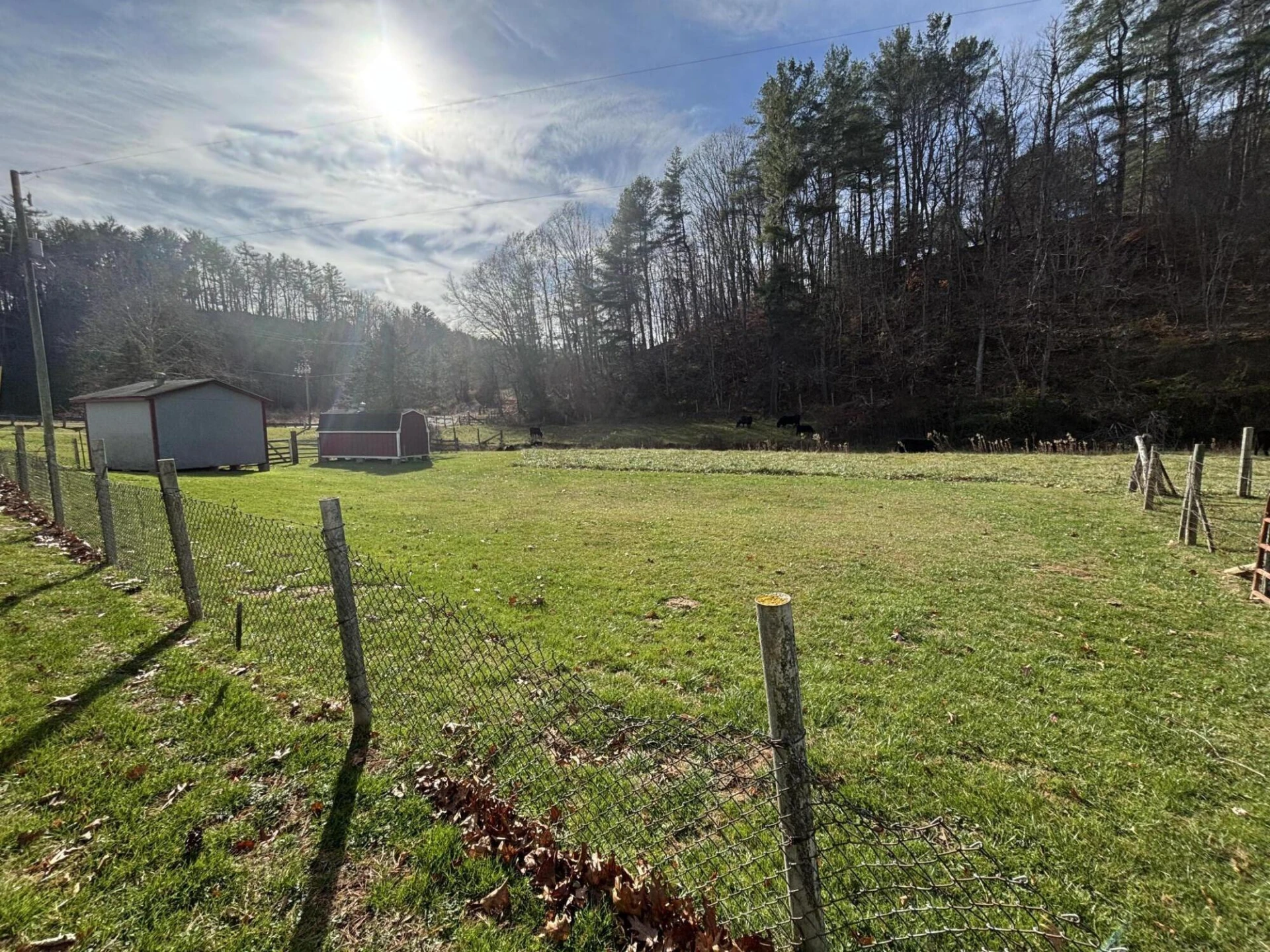 4668 Webbs Mill RD - Photo 7