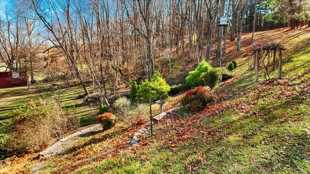 290 Crickett LN - Photo 98
