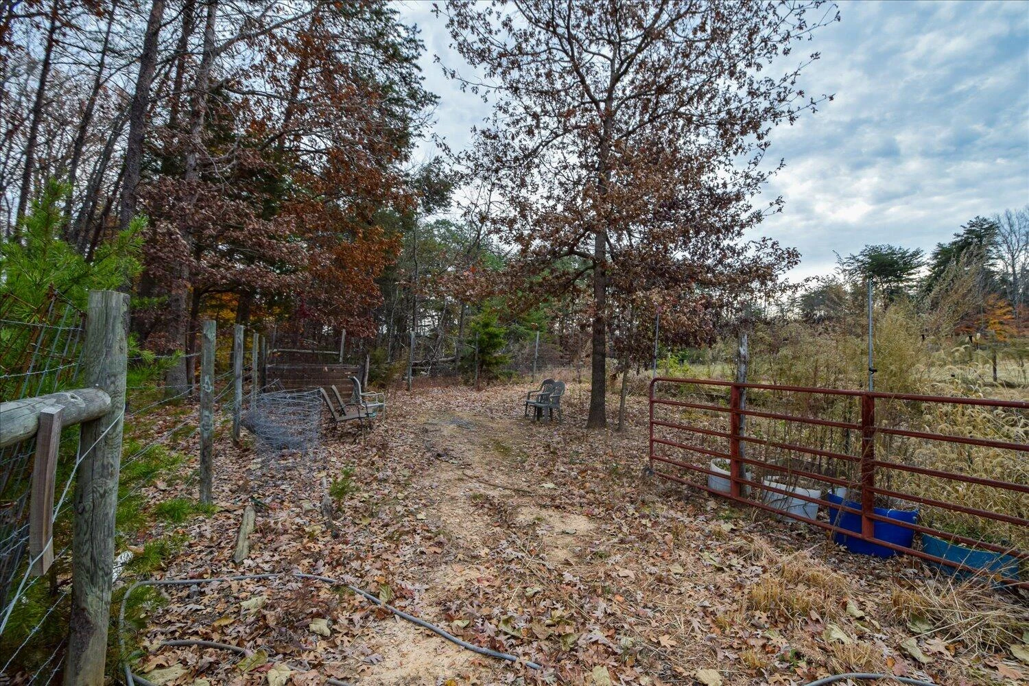 1214 Evelyn DR - Photo 32