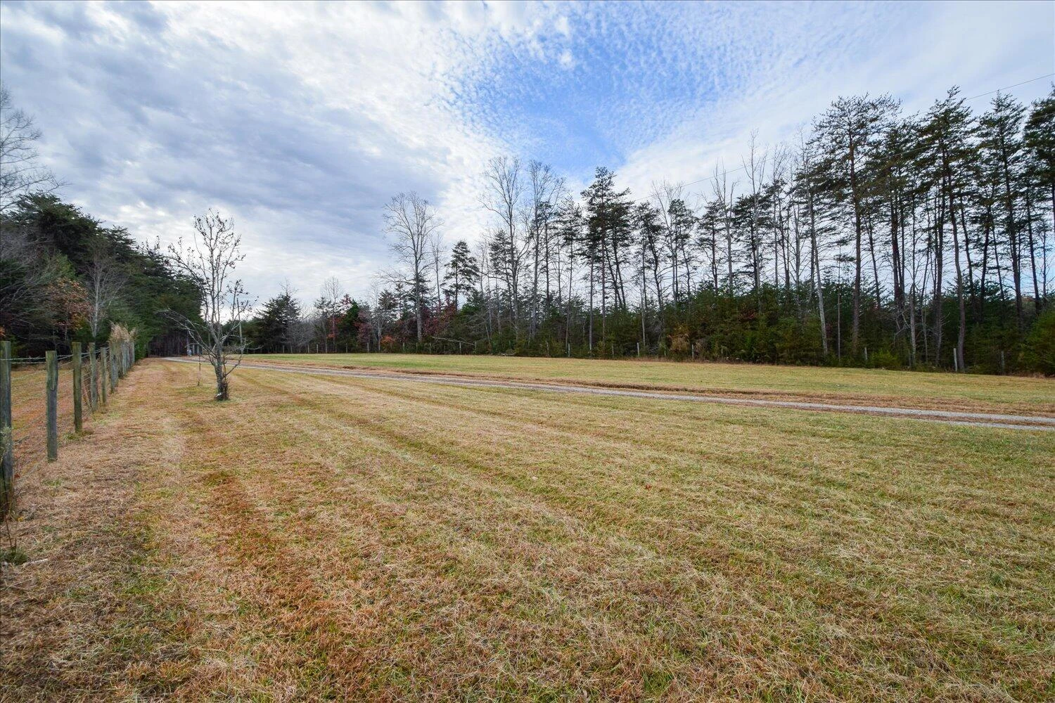 1214 Evelyn DR - Photo 35