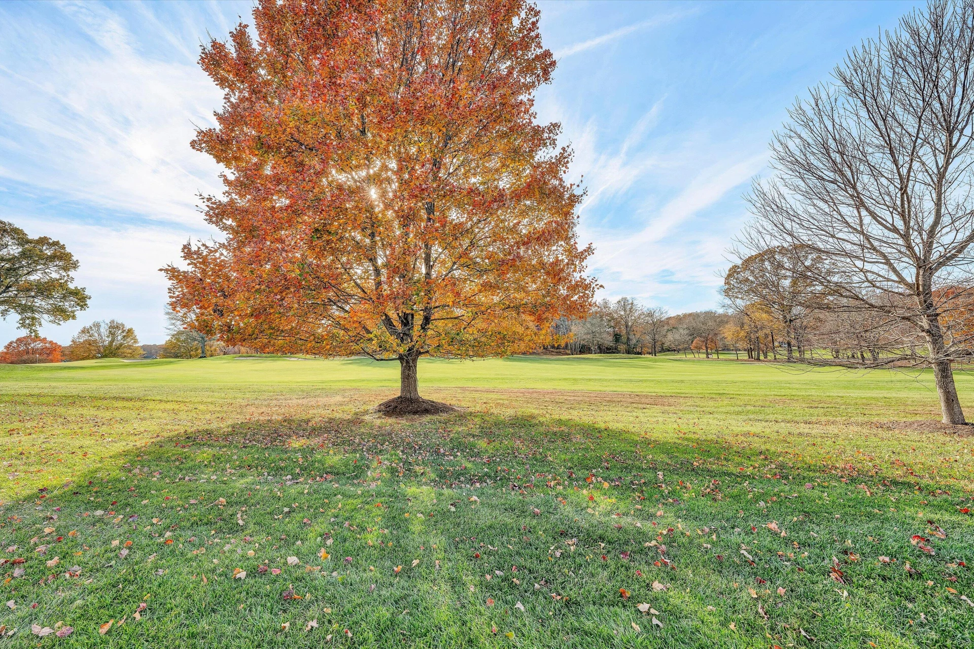 127 Village Green DR - Photo 23