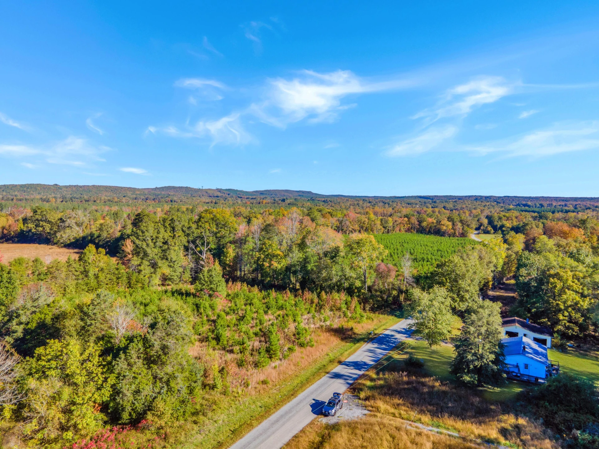 677 White Fall RD - Photo 10
