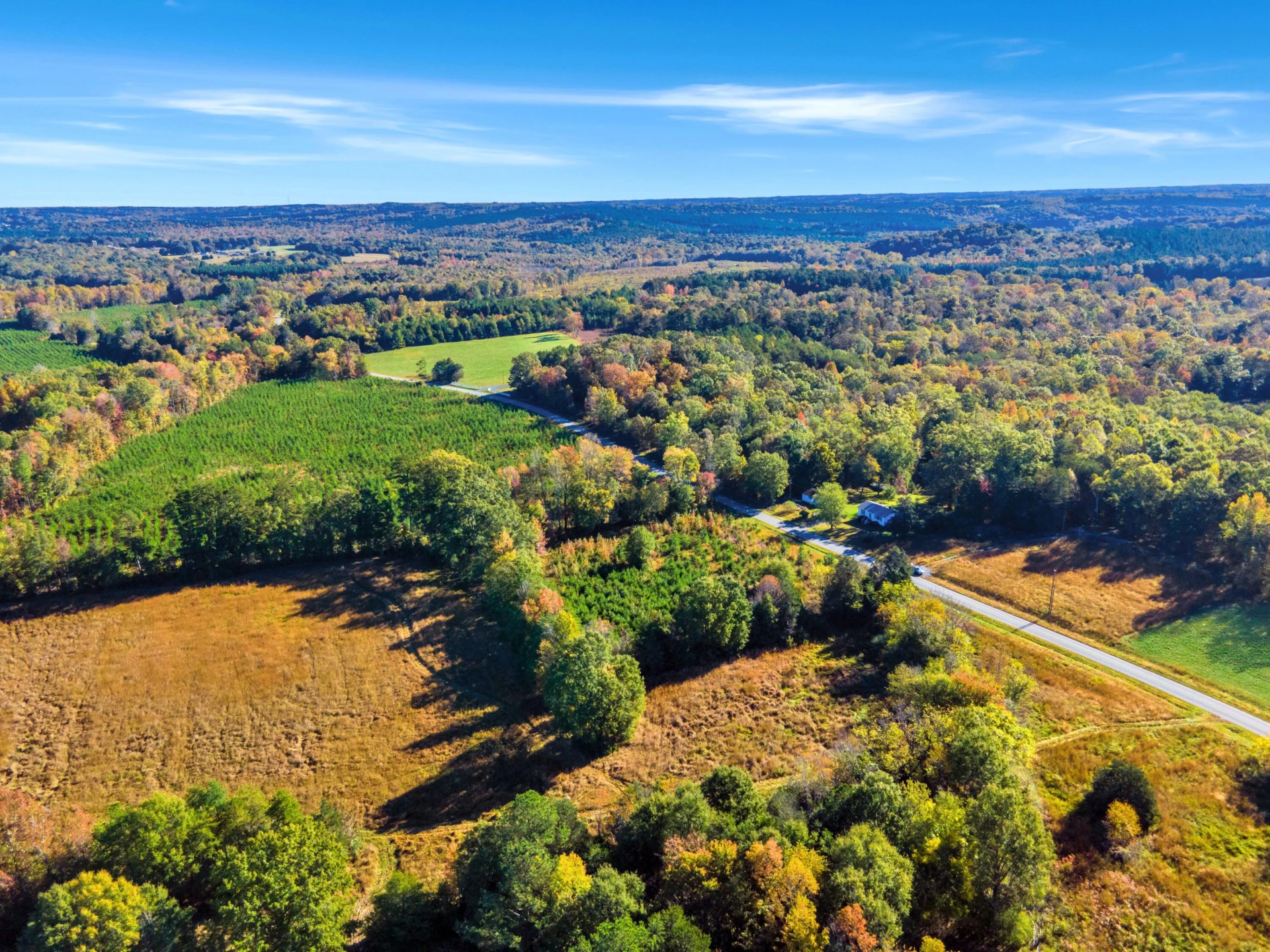 677 White Fall RD - Photo 12